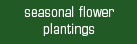 seasonal flower plantings